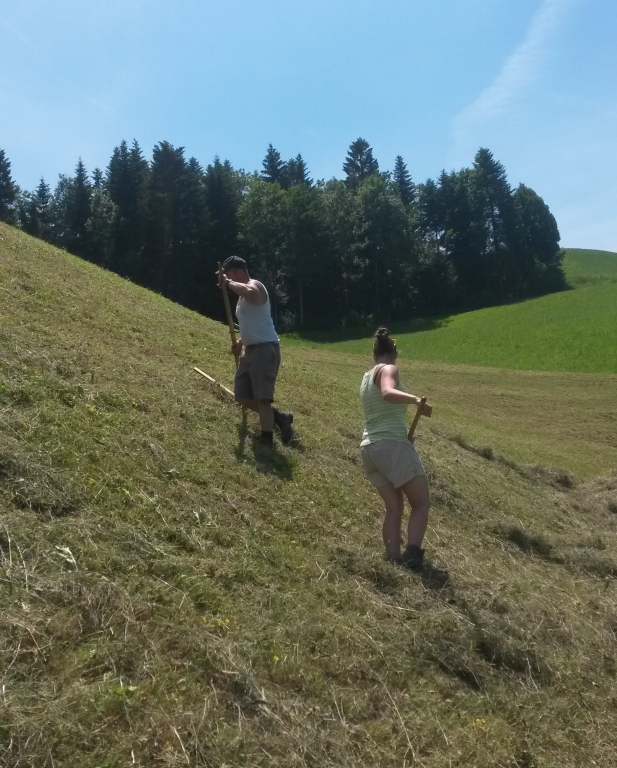 Am heuen